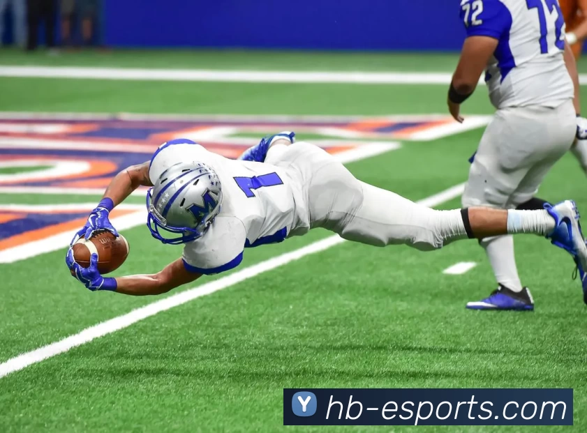 海博电竞平台平台生态图