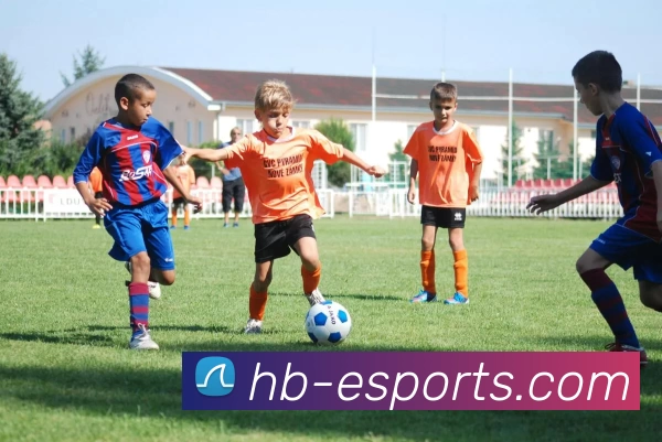 海博电竞平台APP 封面图